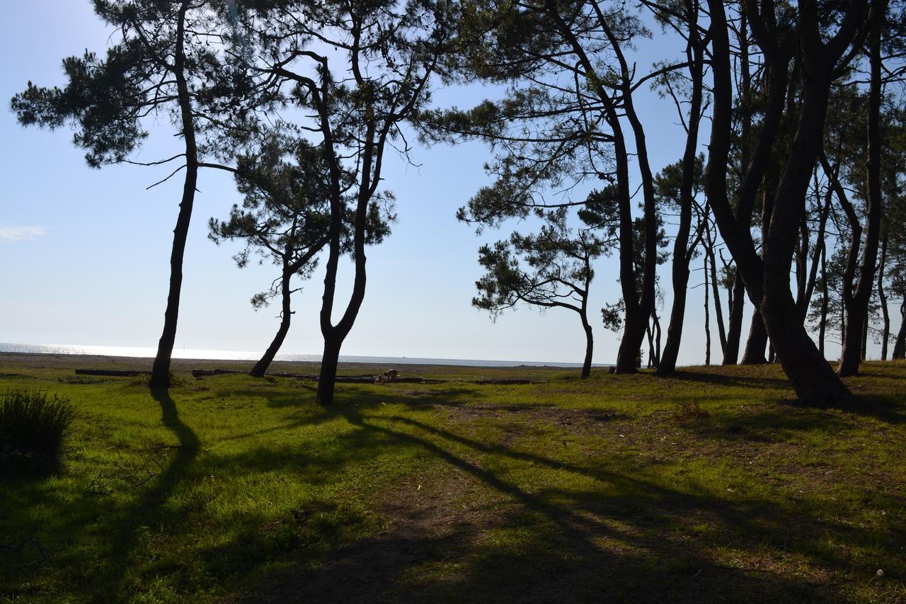 Saba Guest House Ureki Dış mekan fotoğraf